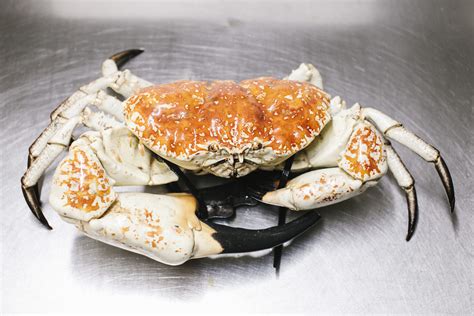 Big crab - Maryland is renowned for its delicious seafood, and one dish that stands out above the rest is the crab cake. Bursting with flavor and made from fresh, succulent crab meat, these g...